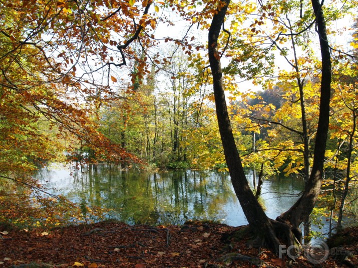 Horvātija, Plitvice