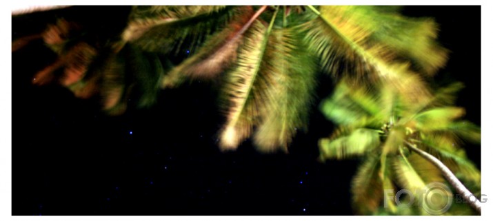 Carribean Night