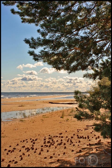 Baltic Seaside