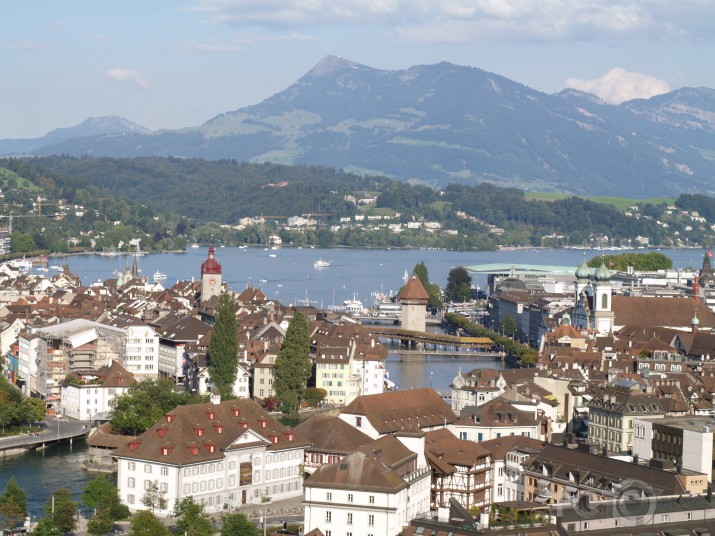 lucerne