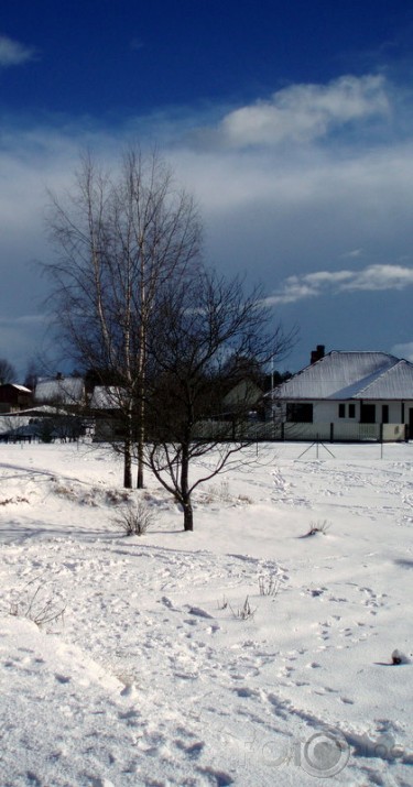 saulaina ziema.