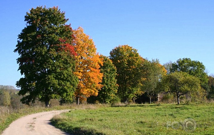 ... rudens