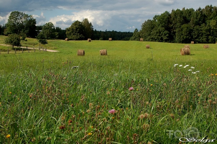 Vasara ar pļavu ziediem un siena ruļļiem.