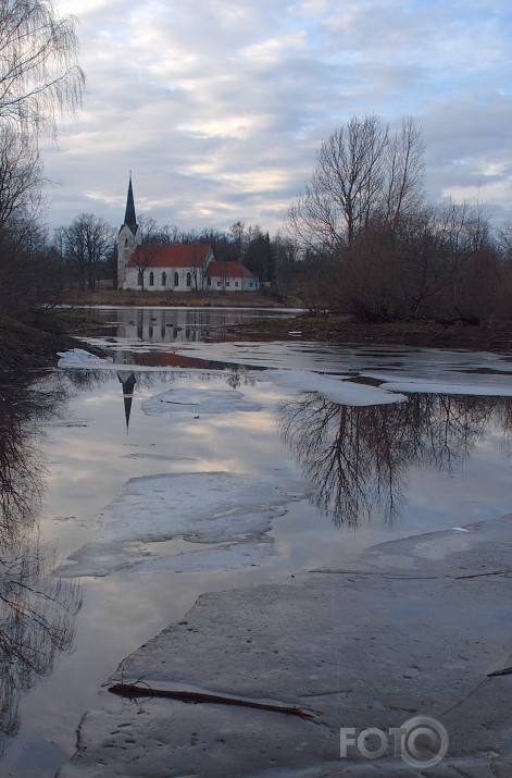 pūpolsvētdienas ledi