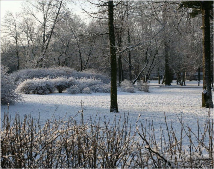 Ziemas pieskāriens pavasarim