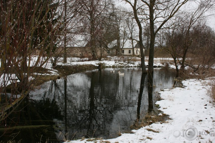 Pavasara ainiņa.