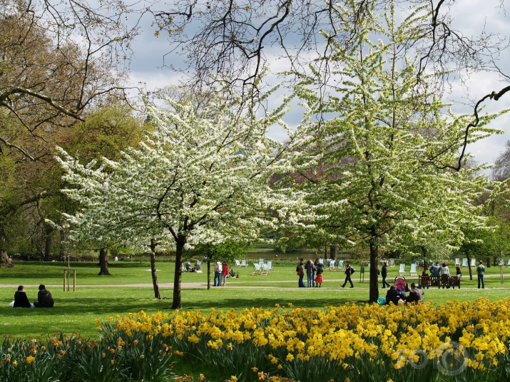 Londonas pavasaris