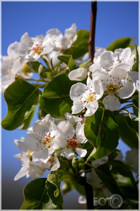 Spring time.