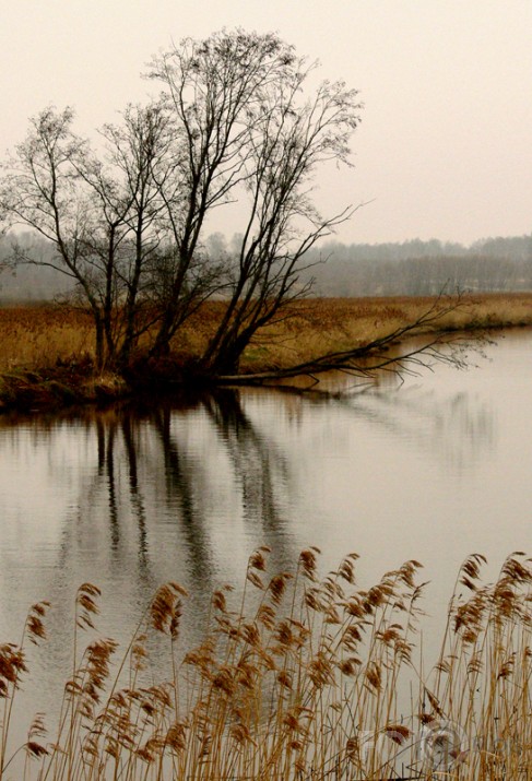 Svētes noskaņa