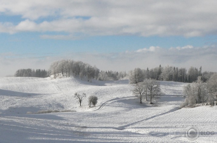 Balta Pasaule