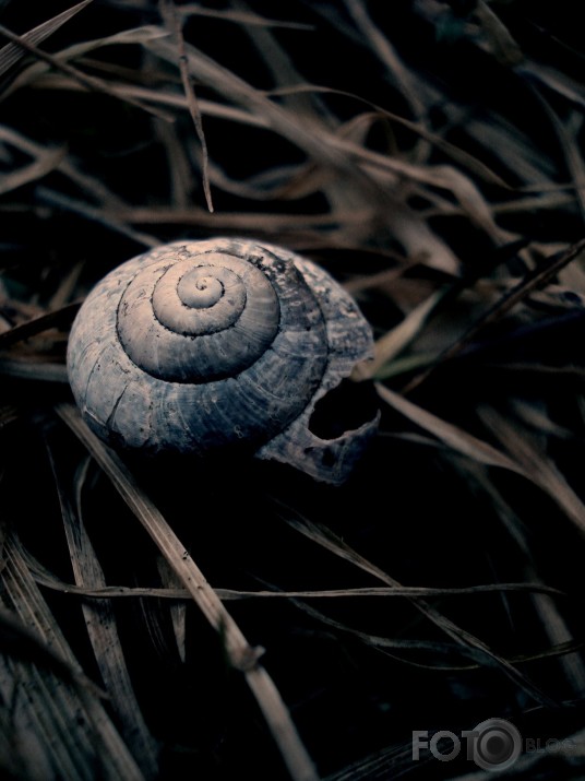un viņš jau arī gaida pavasari.