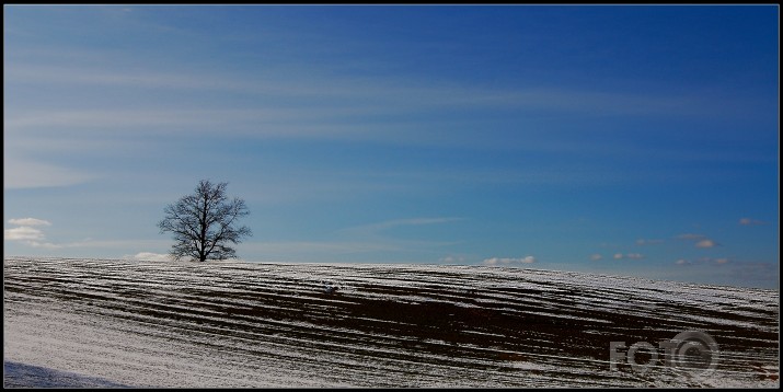 Vientuļnieks