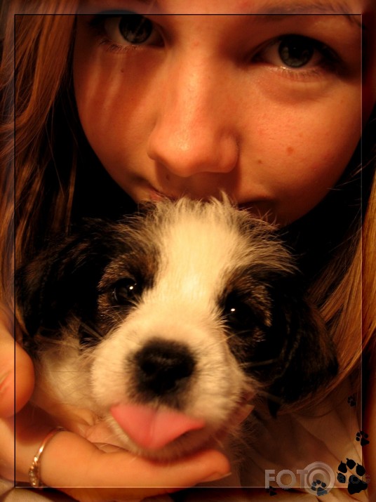 Doggy`