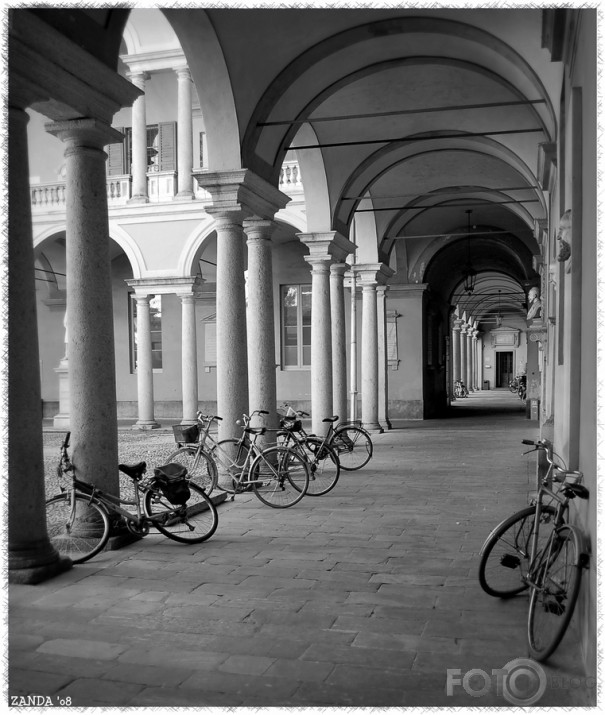 Empty school yard.