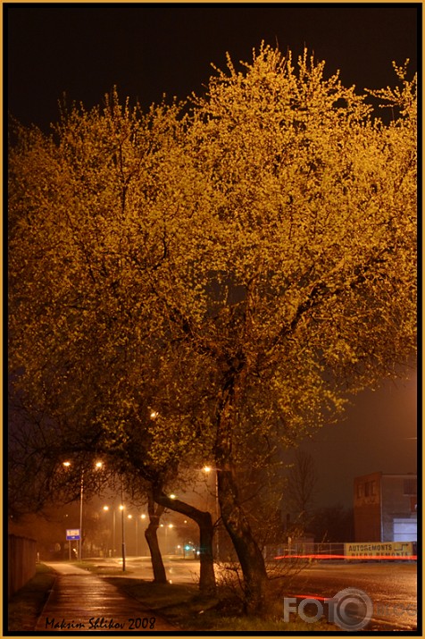 Yellow night