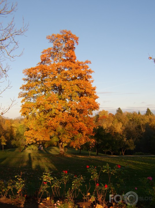 rudens krāsas