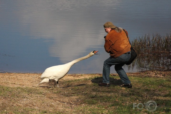 Jautrais fototuss Limbažu pusē...