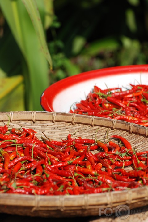 Spicy 2