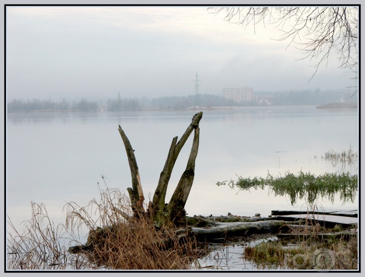 Daugava