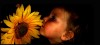 sunflower and child