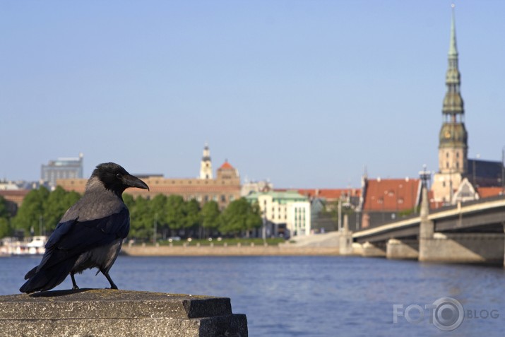 Rīgā viss mierīgi:)