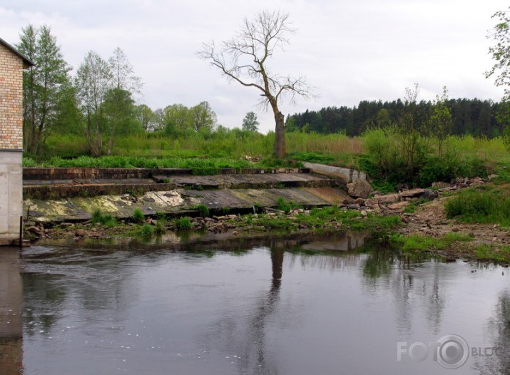 vēstures liecinieces