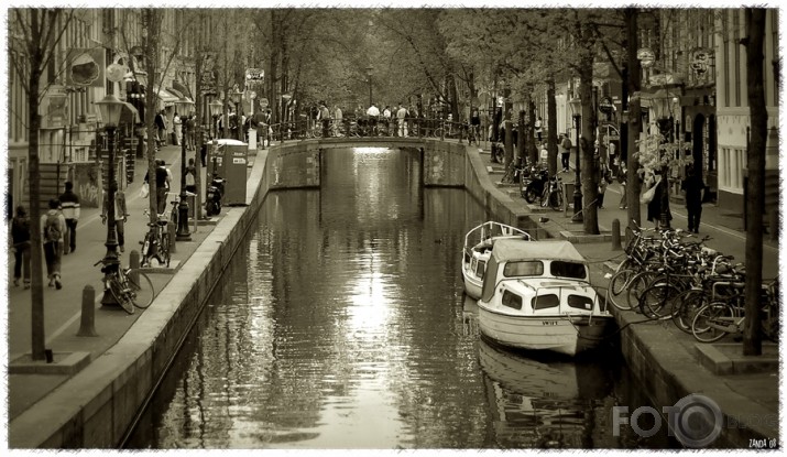 Floating Amsterdam.