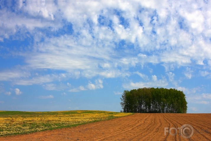 Pavasara krāsu ģeometrija...