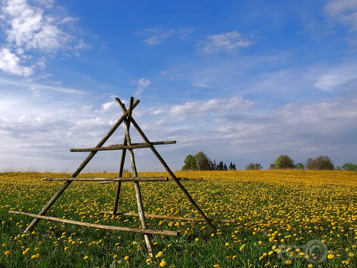 Ширпотреб