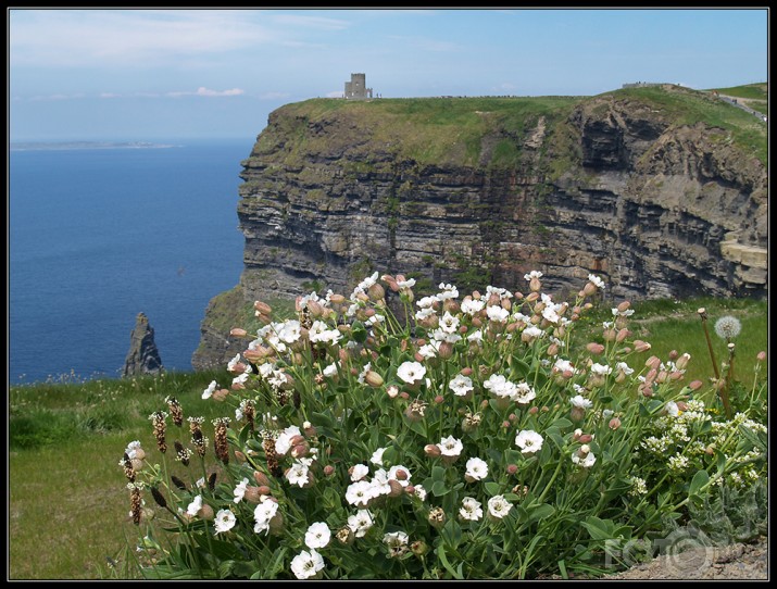 Moher cliffs