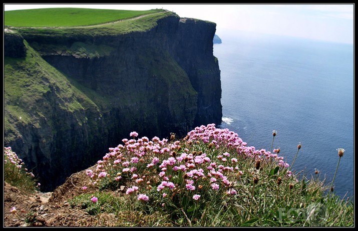 Moher cliffs