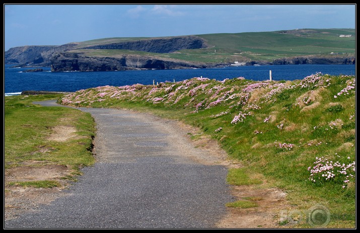 Loop head