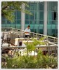 Waiter in the hotel.