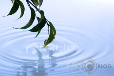 Photostock world I