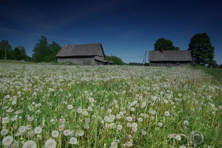 Lidlaučiņs