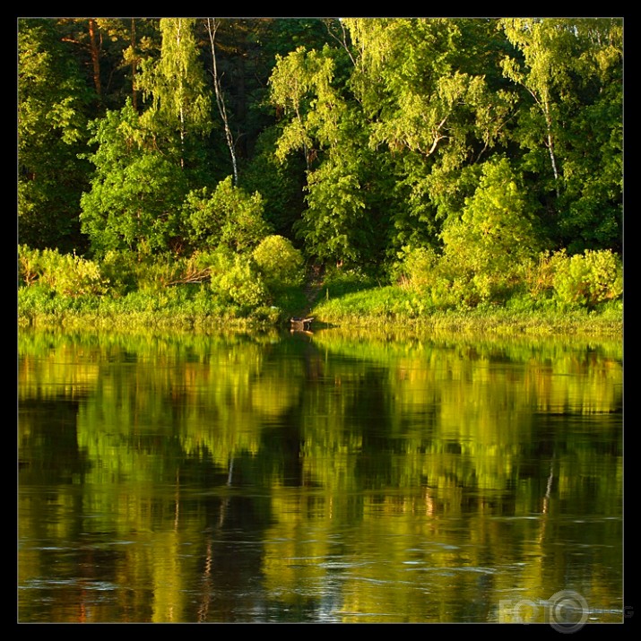 Agrs rīts pie Daugavas