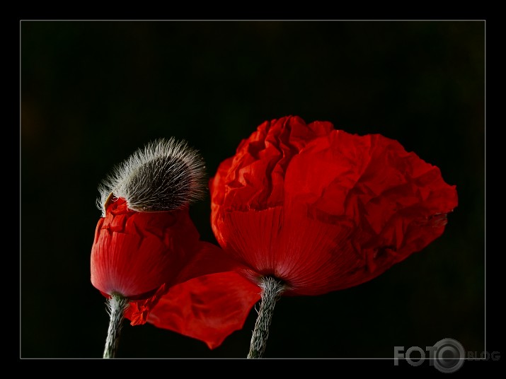 black and red