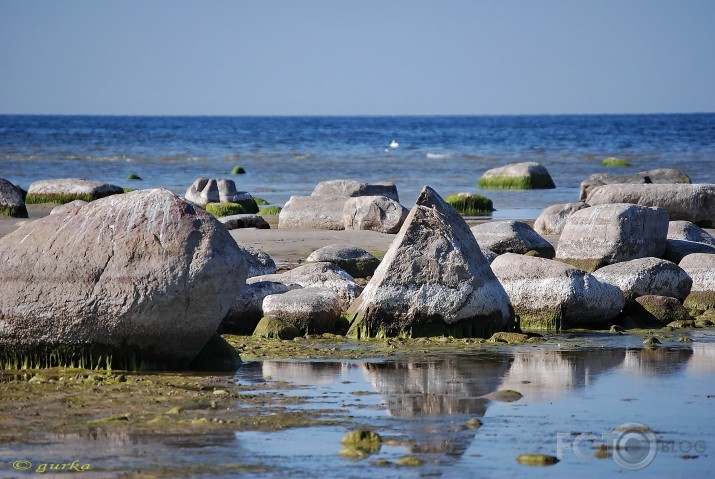 Izkaltusī Kaltenes jūrmala