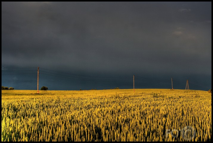 Amiņas no Jāņu dienas.