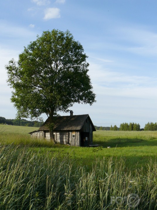 lauku miers