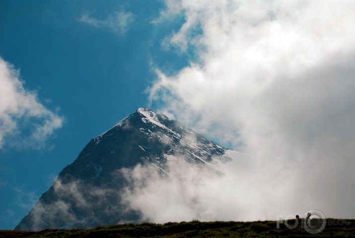 Alpi vasarā