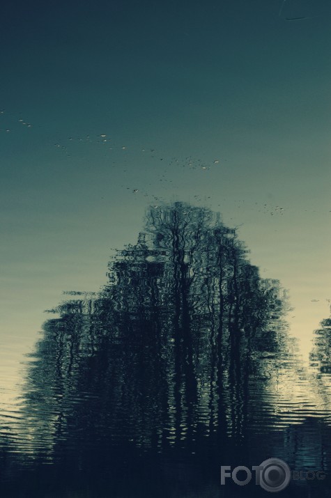 Vakars
