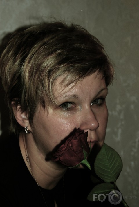 The Rose