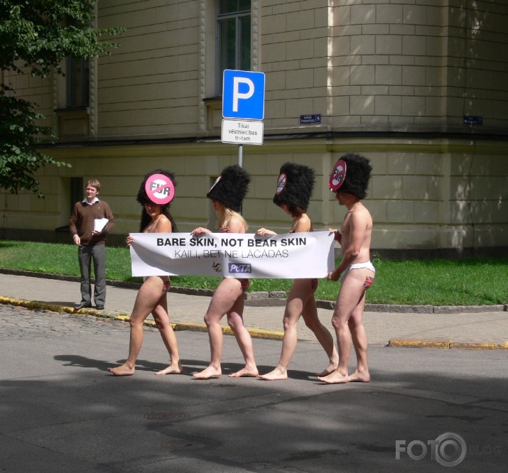 Kaili dabas draugi protestē pret lāčādu izmantošanu goda sardzes cepuru izgatavošanai