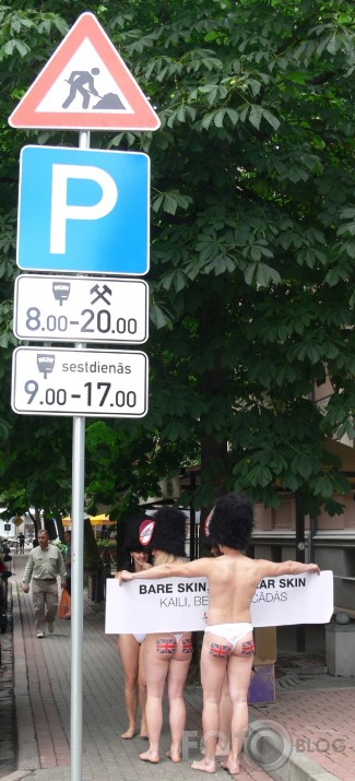 Kaili dabas draugi protestē pret lāčādu izmantošanu goda sardzes cepuru izgatavošanai