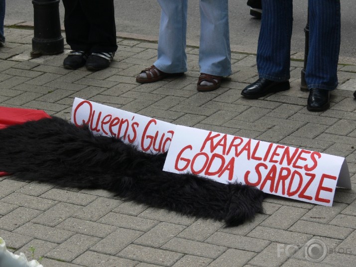 Kaili dabas draugi protestē pret lāčādu izmantošanu goda sardzes cepuru izgatavošanai