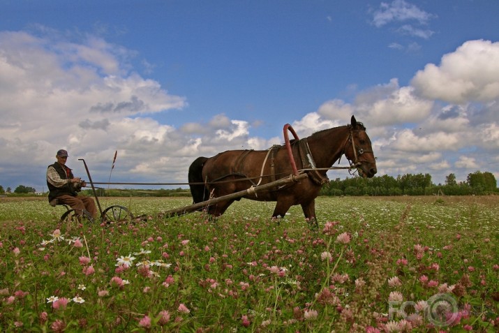 Pēdējais "mohikānis" šaipusē....