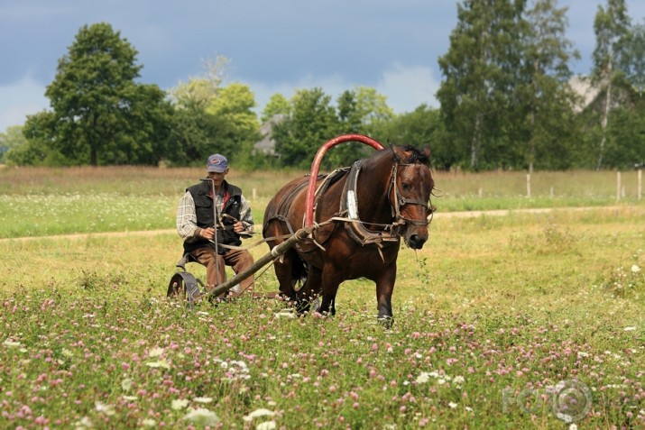 Pēdējais "mohikānis" šaipusē....