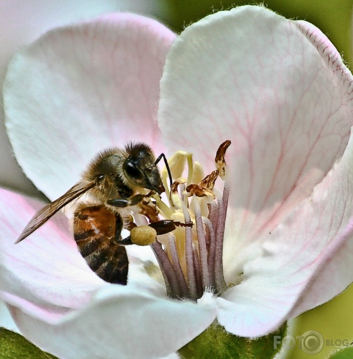 Bite