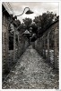 Tumšā puse - Auschwitz